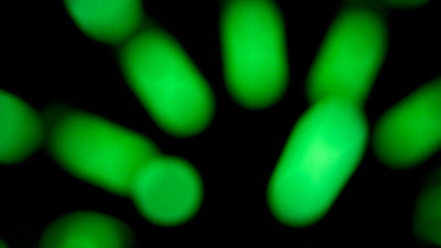 Lume Technology