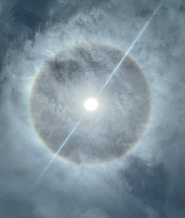 The Complete Guide to Solar Watch Movements